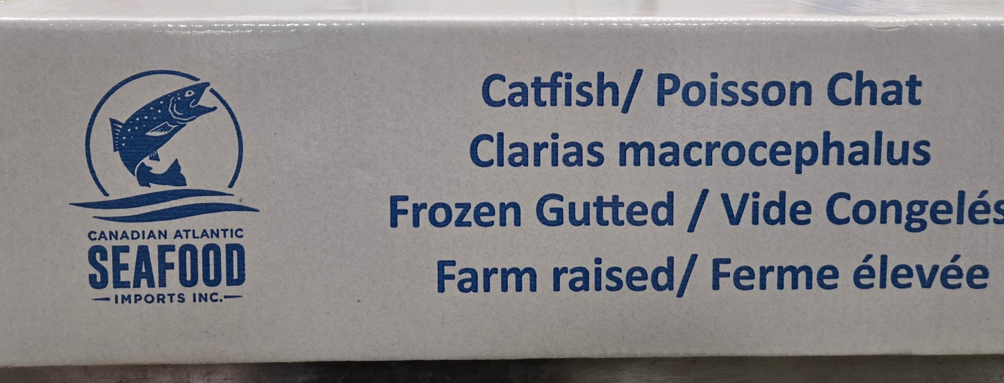 Cat Fish Box