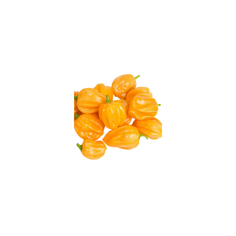 Habanero Pepper (Yellow)