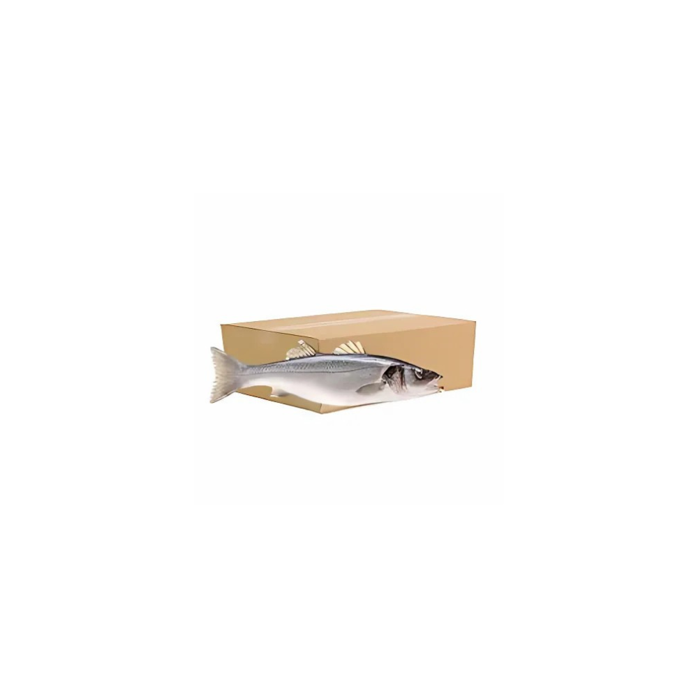 Whiting Fish Box
