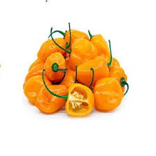 Habanero Pepper Yellow