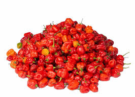 Habanero Pepper (Red)