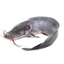 Frozen Cat fish