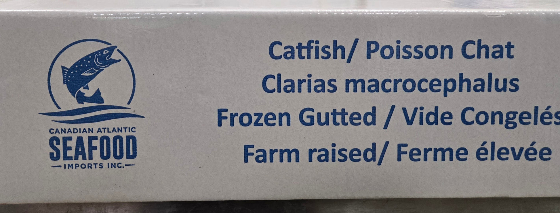 Cat Fish Box 