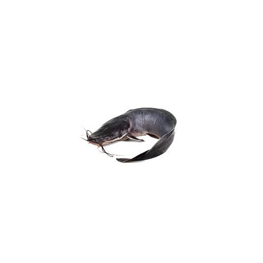 Frozen Cat fish