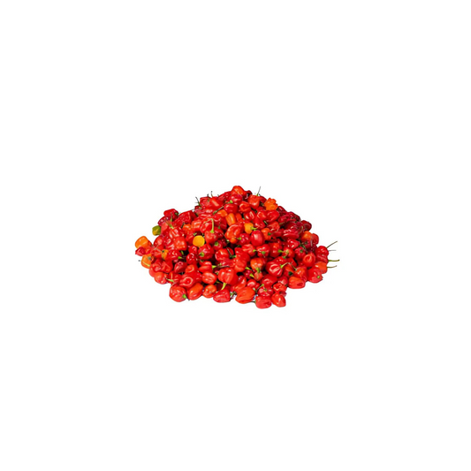 Habanero Pepper (Red)