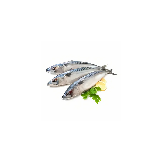 King Fish