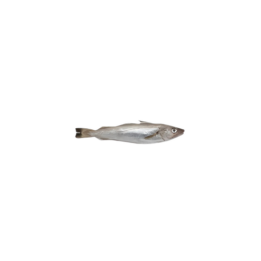 Seafood Whiting Fish
