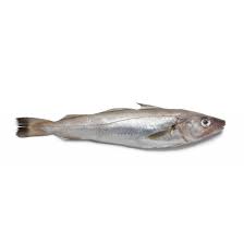 Seafood Whiting Fish